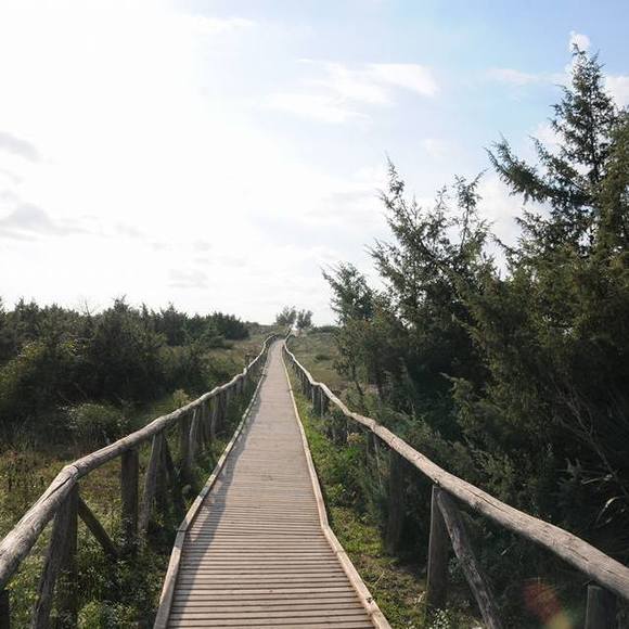 Meet your Posher, Christina - Picture 1 of 1